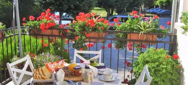 勿忘草旅馆酒店(Chambre d'hôtes Myosotis)图片