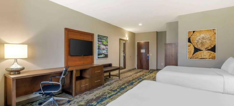 舒适套房酒店(Comfort Inn & Suites Valdosta)图片