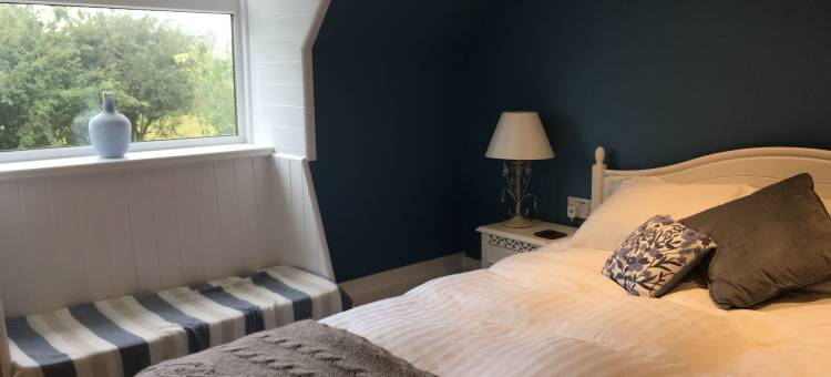 上特雷尼厄尔农场高级酒店(Higher Trenear Farm B&B)图片