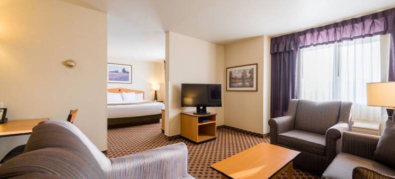 格雷特瀑布水晶套房酒店(Crystal Inn Hotel & Suites - Great Falls)图片