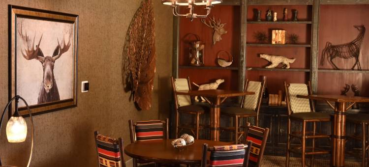 图尔萨 - 布罗肯阿罗石溪酒店(Stoney Creek Hotel Tulsa - Broken Arrow)图片