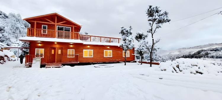 万普拉斯塔度假村(Vanprastha Resorts)图片