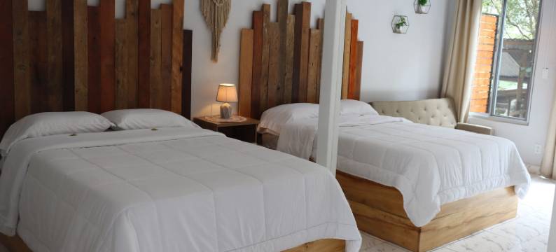 博克特萤火虫旅馆(Boquete Firefly Inn)图片