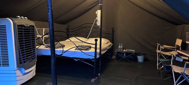 荒野丛林营地(Wilderness Jungle Camp)图片