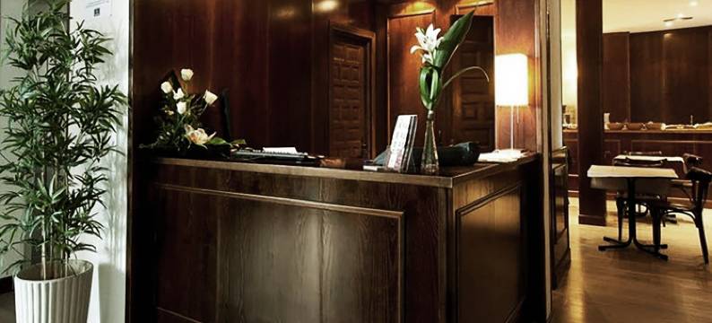 托莱多帝国饭店(Sercotel Toledo Imperial)图片