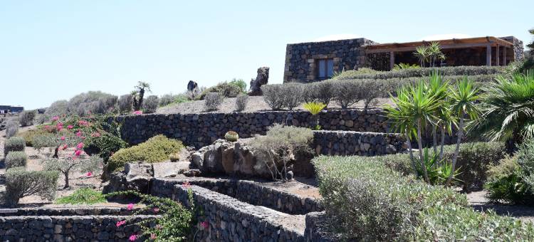 达穆西索托勒斯特莱(Dammusi Sotto le Stelle)图片