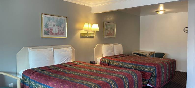 威利茨云雀汽车旅馆(Lark Motel Willits)图片