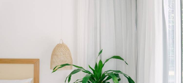 奥利萨精品酒店(Olisa Hotel Boutique)图片