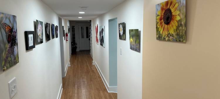 约翰·H·华莱士之家(John H Wallace House)图片