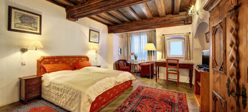 康维斯酒店(Hotel Garni Konvice)图片