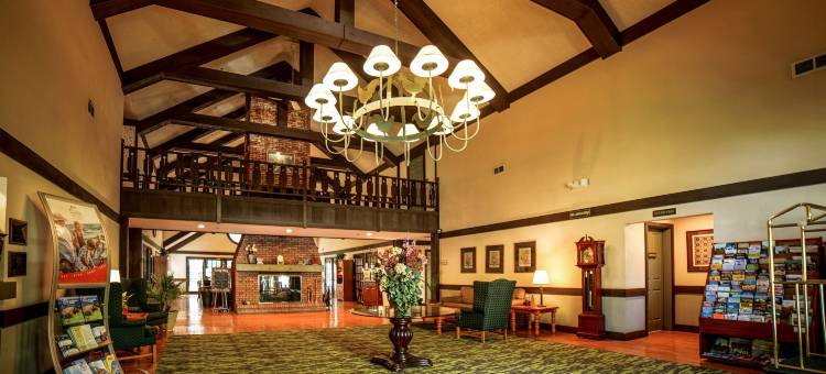 春之楼酒店(Spring House Inn)图片