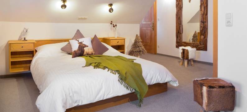 波戴勒高山酒店(Bödele Alpenhotel)图片