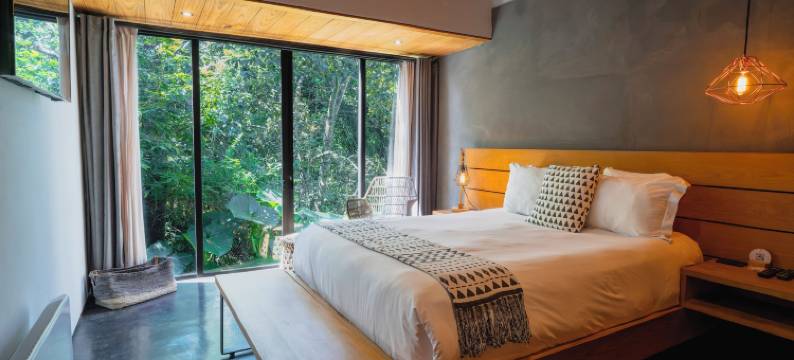 奇奇皮卡斯民宿精品酒店(Casa Chichipicas Hotel Boutique)图片