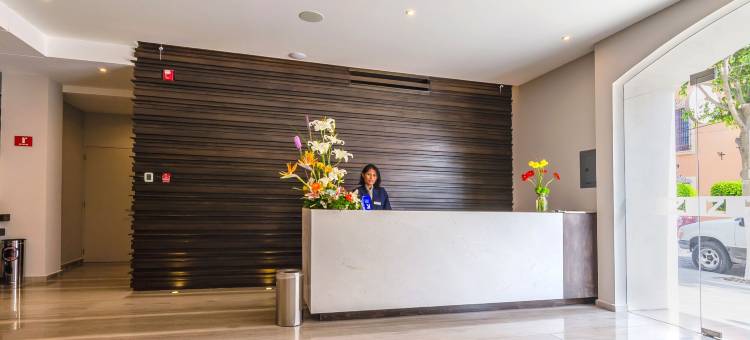 顶峰酒店(Hotel Zenith)图片