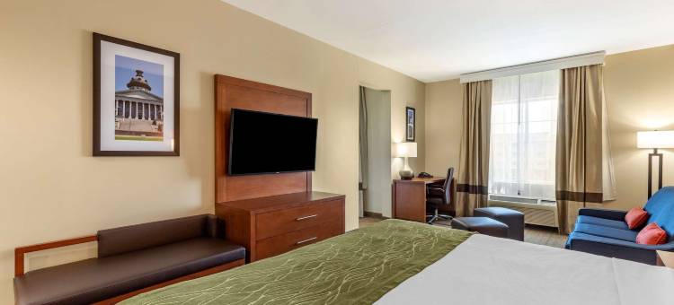 舒适套房酒店(Comfort Inn & Suites)图片
