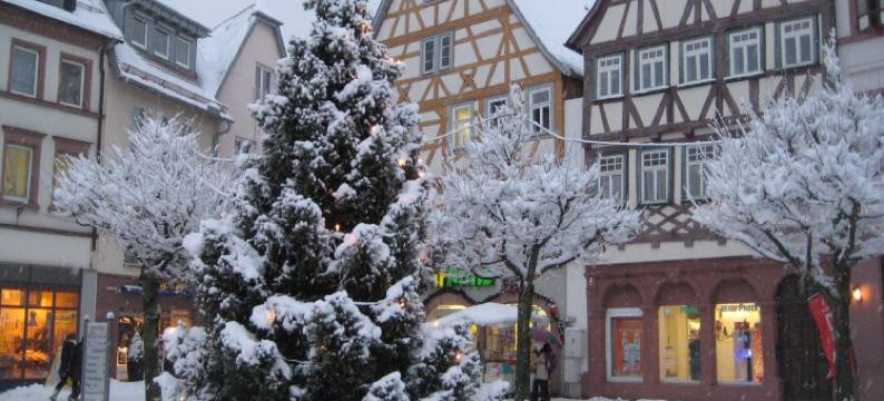 塔乌贝尔阳光旅馆(Tauber Sonnen Lodge)图片