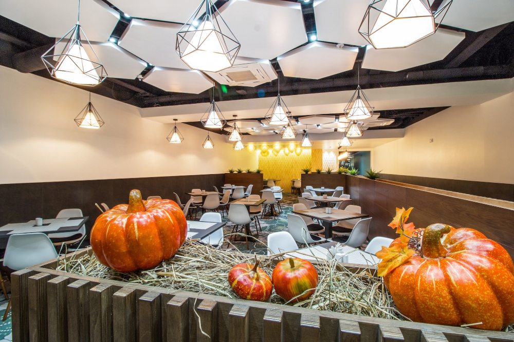 Sunflower Hotel Vnukovo, ZONT Hotel Group Hotel Overview