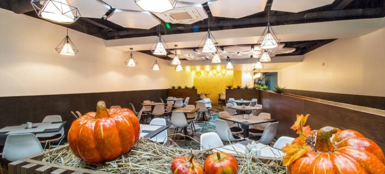莫斯科夫斯基深处酒店(Sunflower Hotel Vnukovo, ZONT Hotel Group)图片