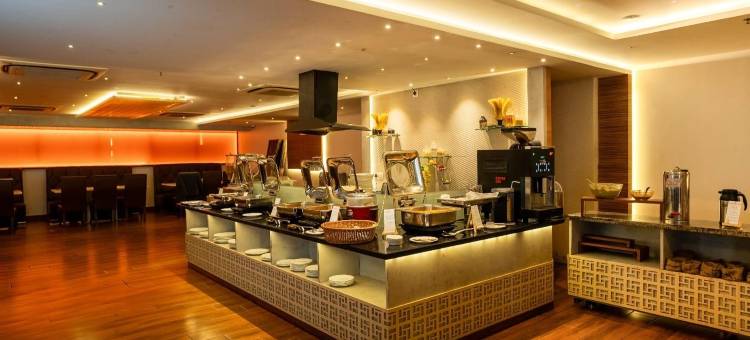 达文盖雷南星酒店(Southern Star,Davangere)图片