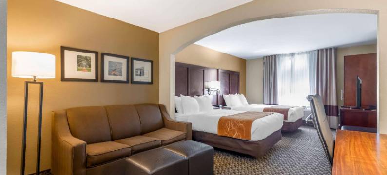 巴吞鲁日艾伦港舒适套房酒店(Comfort Suites Port Allen - Baton Rouge)图片