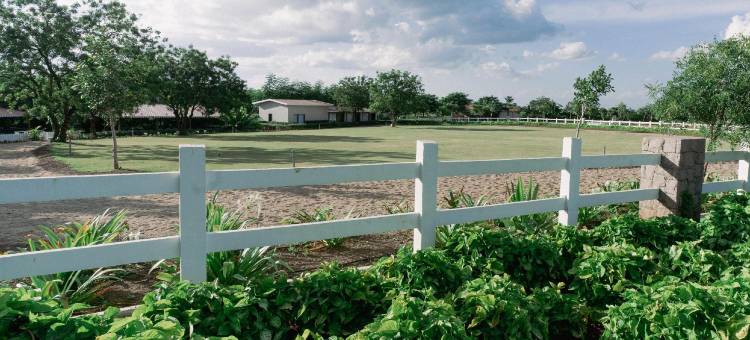 哈姆雷特(The Hamlet)图片