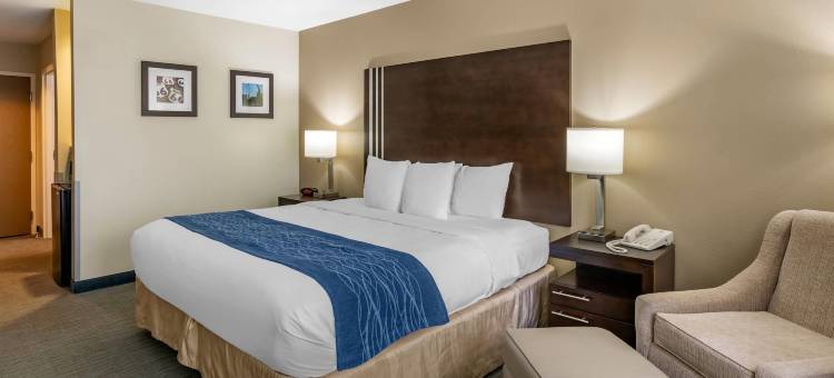 舒适酒店(Comfort Inn)图片