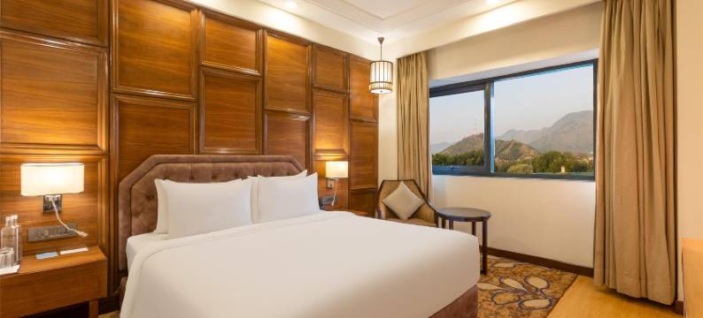 斯里纳格丽筠酒店(Radisson Srinagar)图片