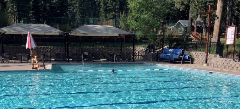 银树庇护所，在白杨树林中(Silver Tree Sanctuary in Aspen Grove!)图片