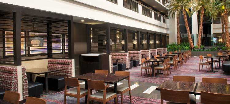 拉斯维加斯希尔顿安泊套房酒店(Embassy Suites by Hilton Las Vegas)图片