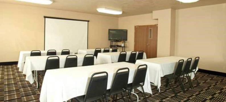 甘尼森克雷斯特德比特舒适套房酒店(Comfort Inn & Suites Gunnison-Crested Butte)图片