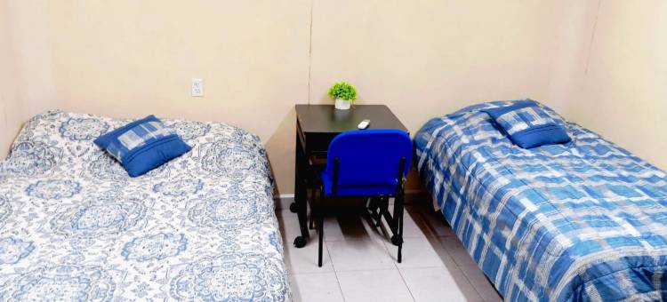 TO3旅馆(Hostal TO3)图片