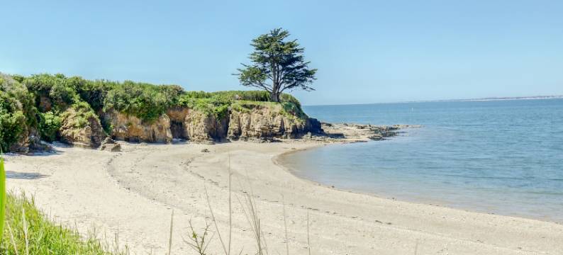 Beachside Family Retreat图片