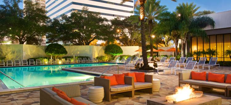 圣彼得堡海湾希尔顿酒店(Hilton St. Petersburg Bayfront)图片