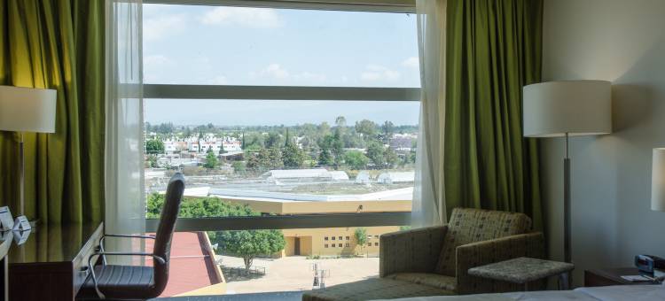 智选假日套房酒店-塞拉亚(Holiday Inn Express & Suites Celaya)图片