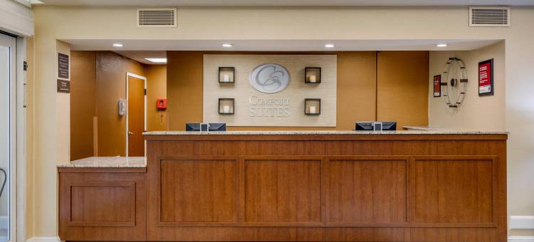 加斯托尼亚-夏洛特舒适套房酒店(Comfort Suites Gastonia - Charlotte)图片