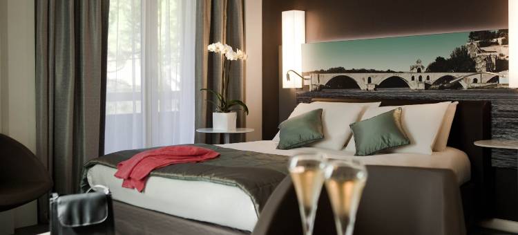 亚维侬桥中心美居酒店(Mercure Pont d'Avignon Centre Hotel)图片