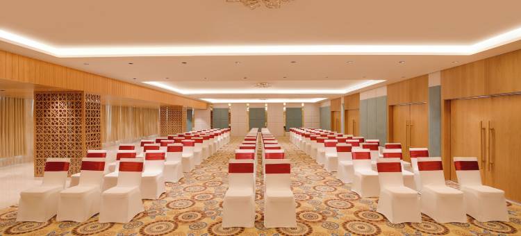 Lemon Tree Premier 蒂鲁帕提(Lemon Tree Premier Tirupati)图片