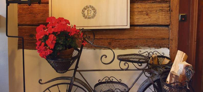 达门亨克旅馆酒店(Dammschenke Gasthof & Hotel)图片