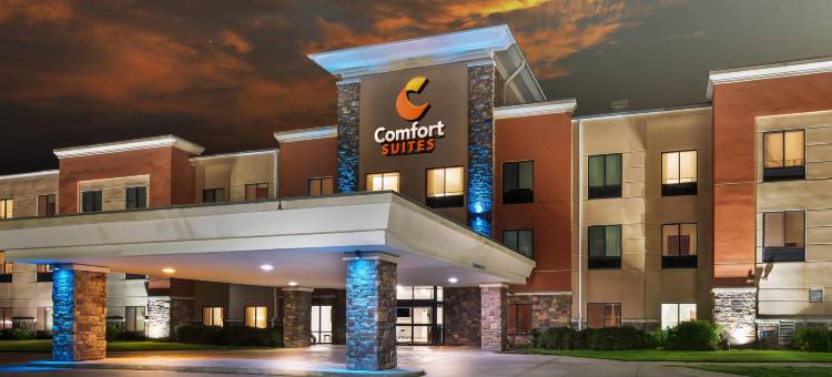 舒适套房酒店(Comfort Suites Gothenburg)图片