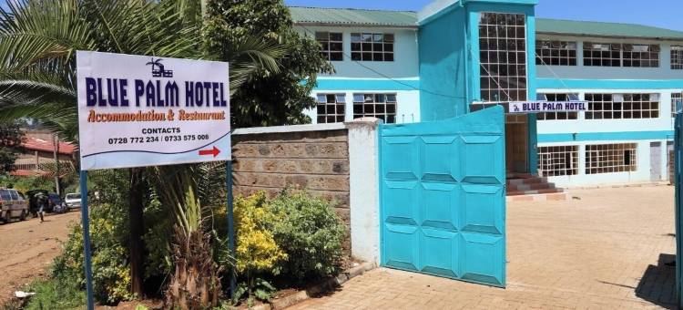 凯里乔蓝色棕榈酒店(Blue Palm Hotel)图片