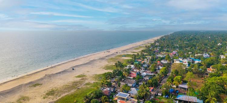 阿勒佩祖斯酒店(Zostel Alleppey)图片