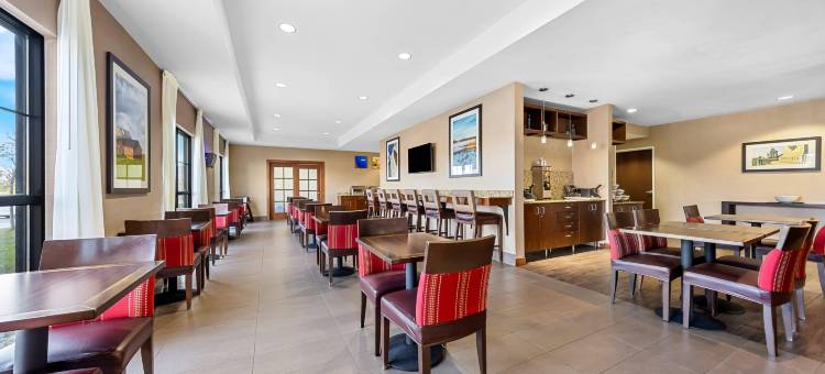 西医学中心舒适套房酒店(Comfort Inn & Suites West - Medical Center)图片