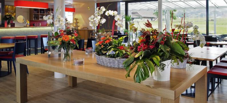 宜必思布勒格鲁耶尔酒店(Ibis Bulle la Gruyère)图片