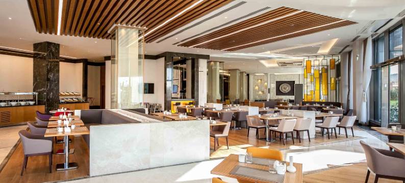 迪亚巴克尔诺富特酒店(Novotel Diyarbakir)图片