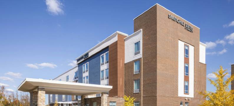 底特律斯特林海茨万豪SpringHill酒店(SpringHill Suites by Marriott Detroit Sterling Heights)图片