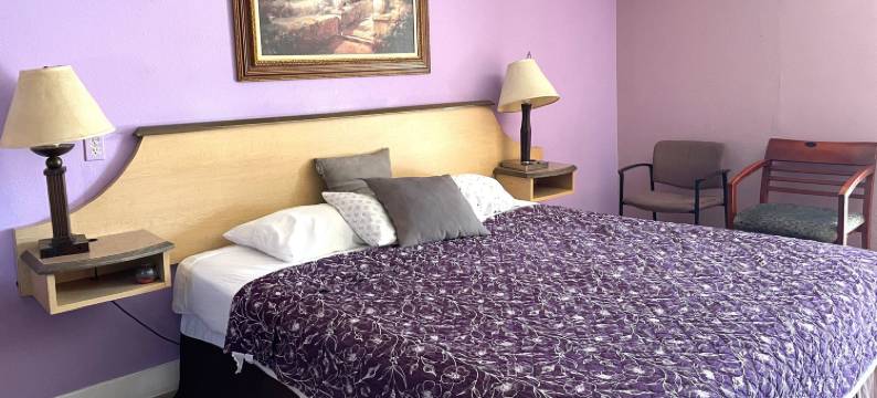 特拉维尔旅馆(Travel Inn Downtown La)图片