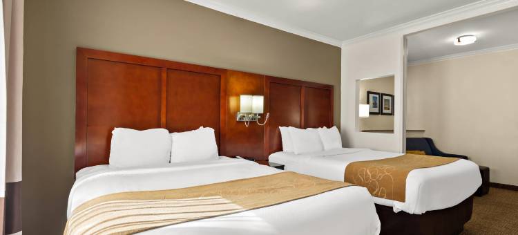 科珀斯克里斯蒂中央舒适套房酒店(Comfort Suites Central)图片