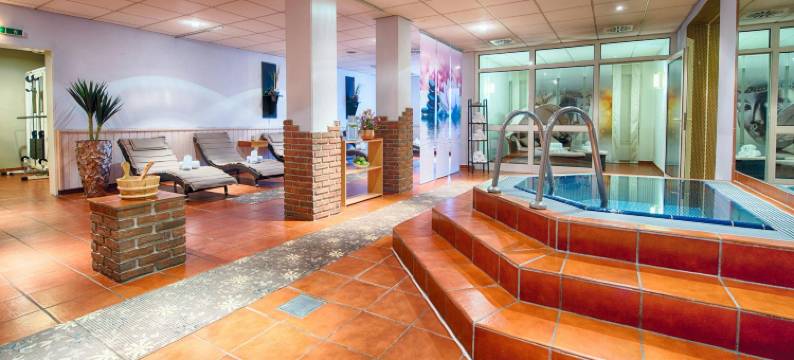 玛汗拉登堡莱纳杜酒店(Leonardo Hotel Mannheim-Ladenburg)图片