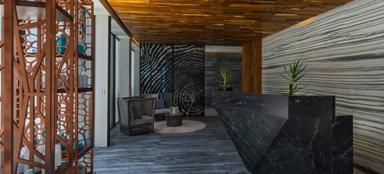 The Residences at Solaz, a Luxury Collection Resort, Los Cabos图片