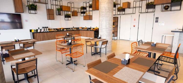 宜必思沃图波兰加酒店(Ibis Votuporanga)图片